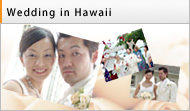 Wedding in Hawaii