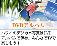 DVD�A���o��