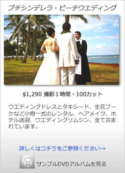 �v�`�V���f���� �r�[�`�E�E�F�f�B���O