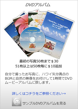 DVD�A���o��