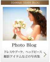 HWAII STAFF BLOG