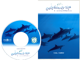 DVDパッケージ